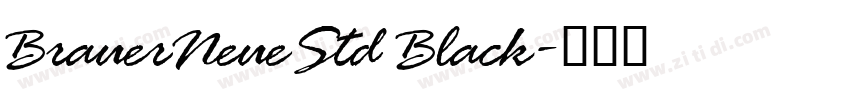 BrauerNeueStd Black字体转换